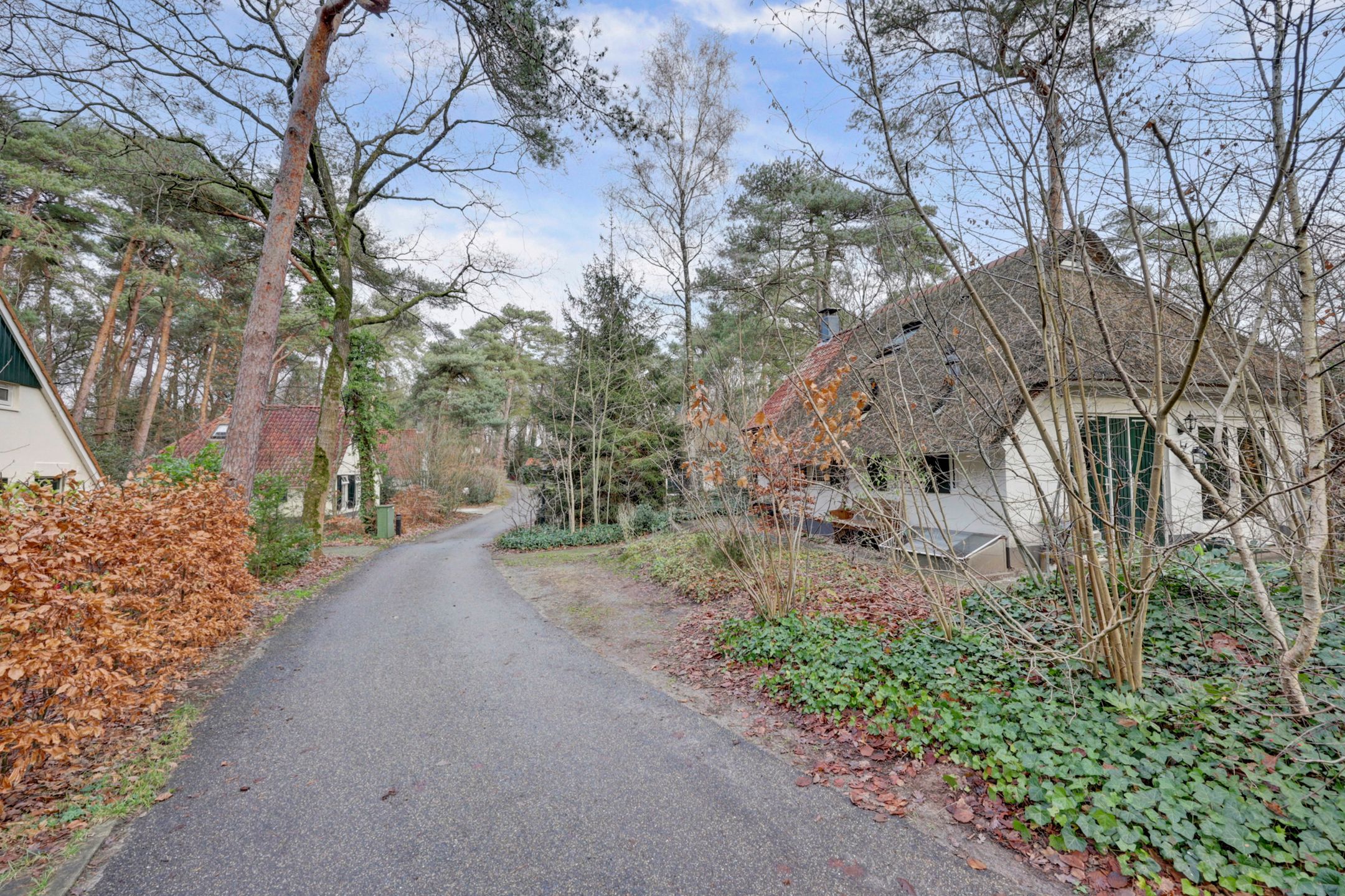 Photo 6 of De Witte Bergen 46