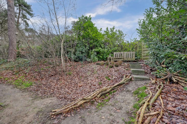 Foto 33 van De Witte Bergen 46