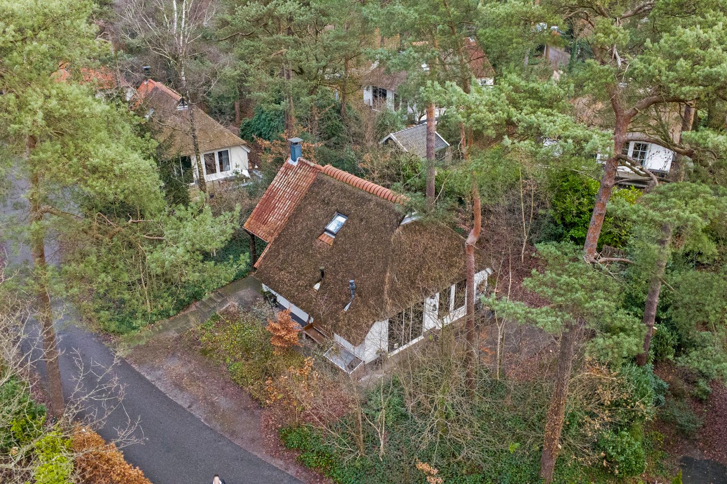 Photo 34 of De Witte Bergen 46