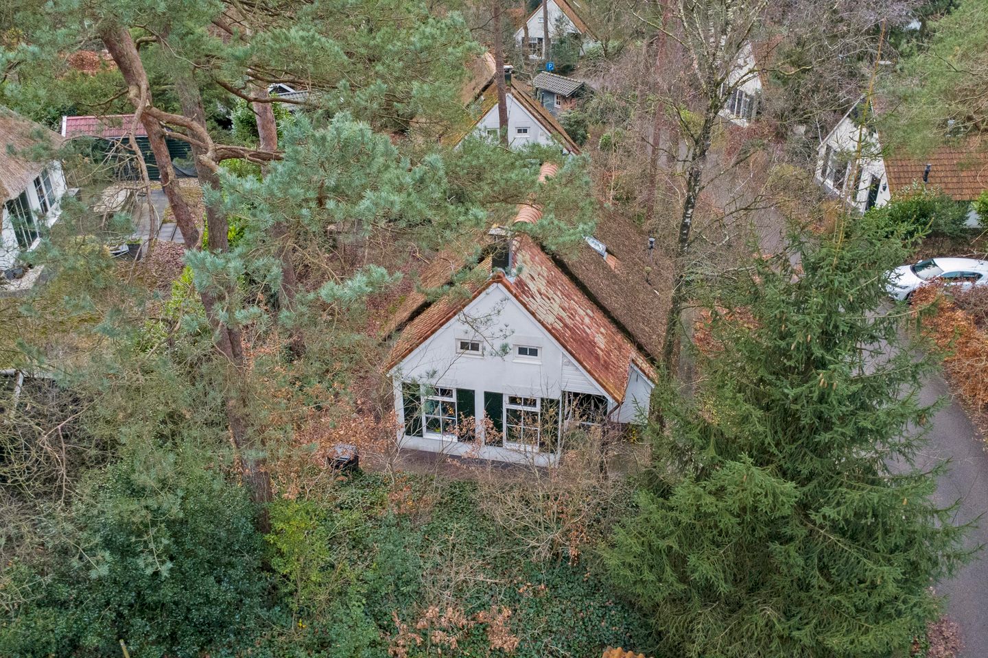 Photo 35 of De Witte Bergen 46