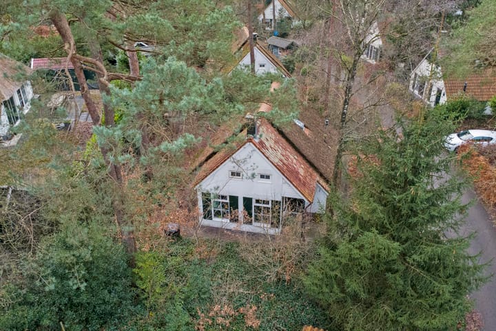 Foto 35 van De Witte Bergen 46