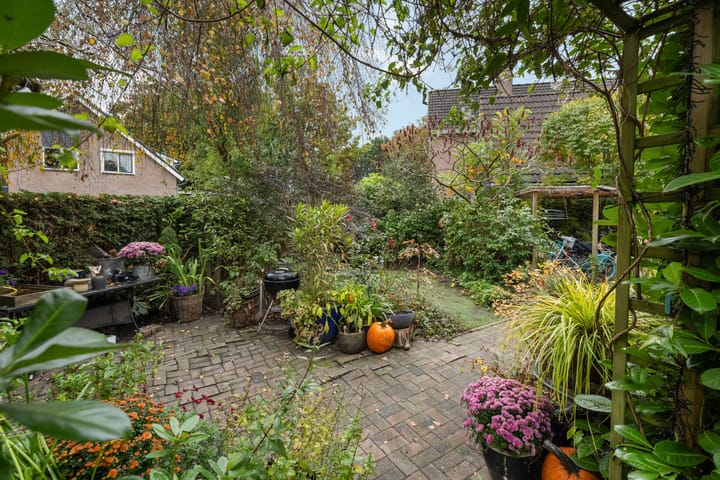 Foto 42 van Akkerwinde 5