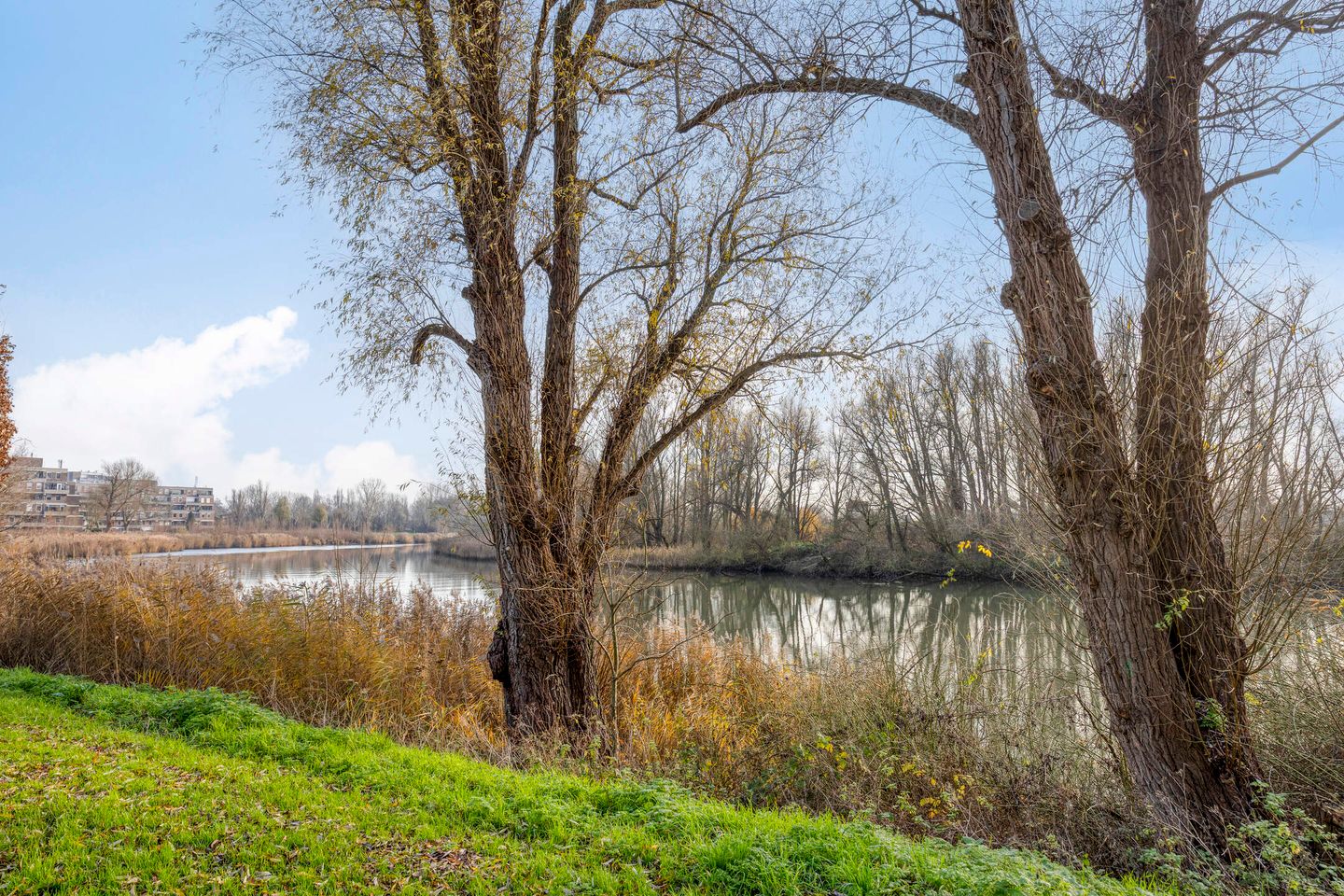 Foto 19 van Generaal S.H. Spoorstraat 399