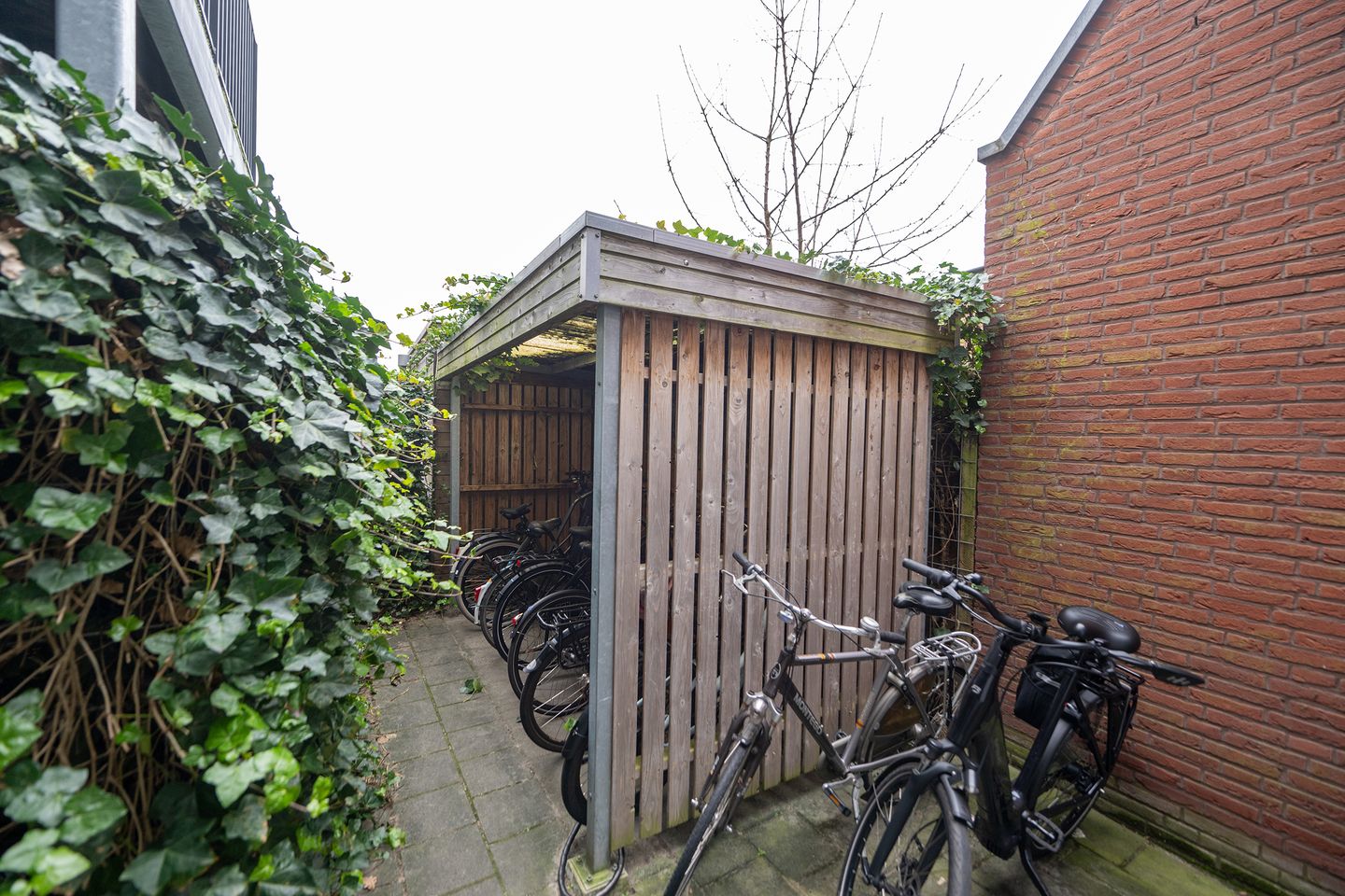 Foto 19 van Eerste Baan 5