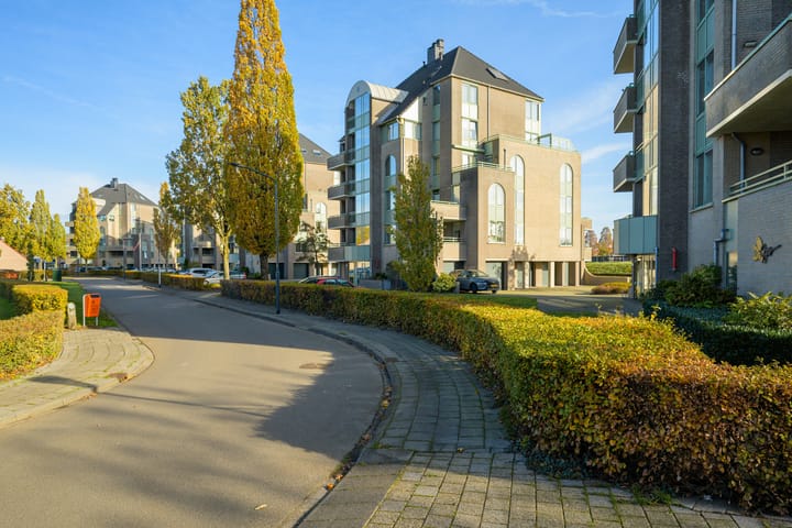 Foto 31 van Zeislaan 133