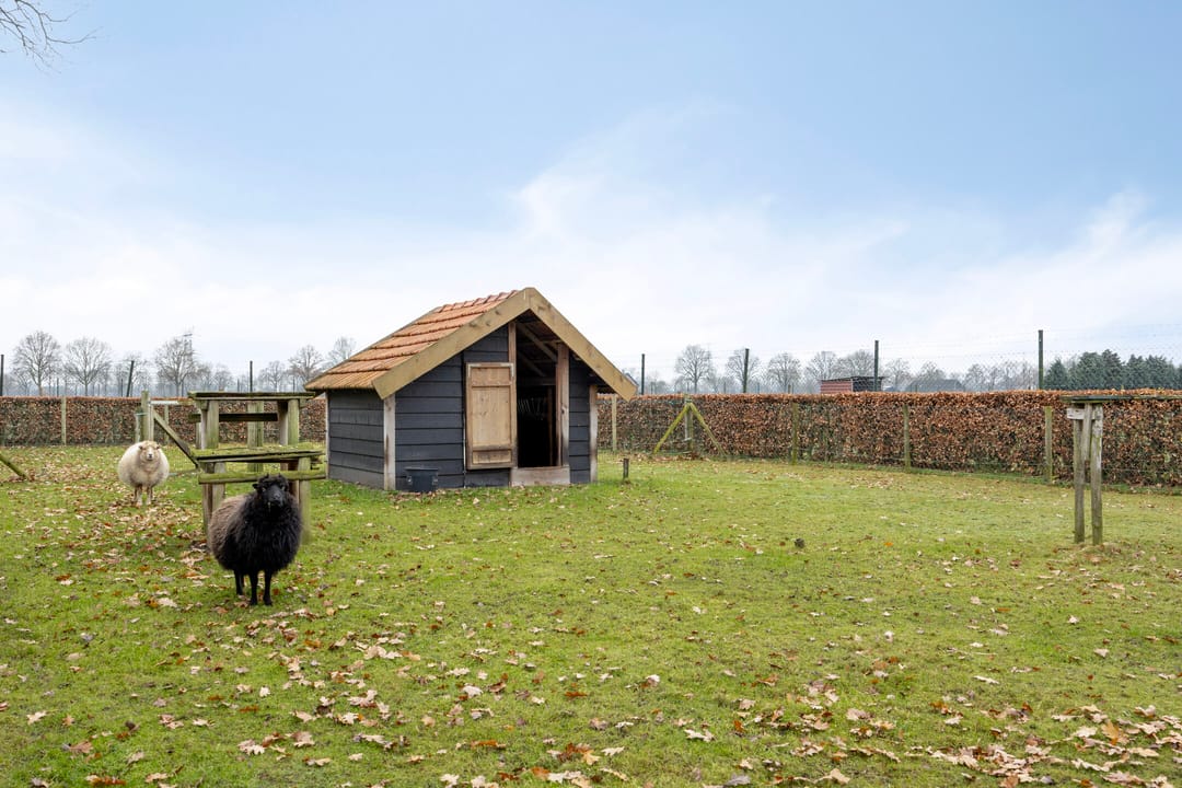 Photo 41 of Laageindsedijk 21