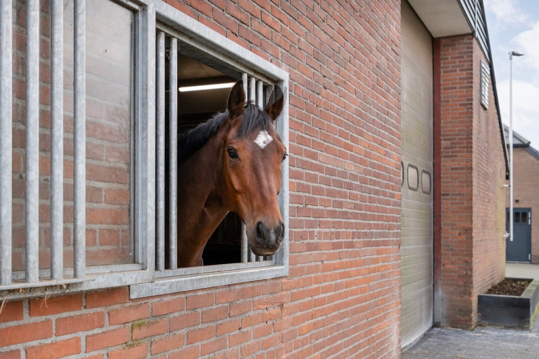 Photo 28 of Oranjekanaal N.Z. 48