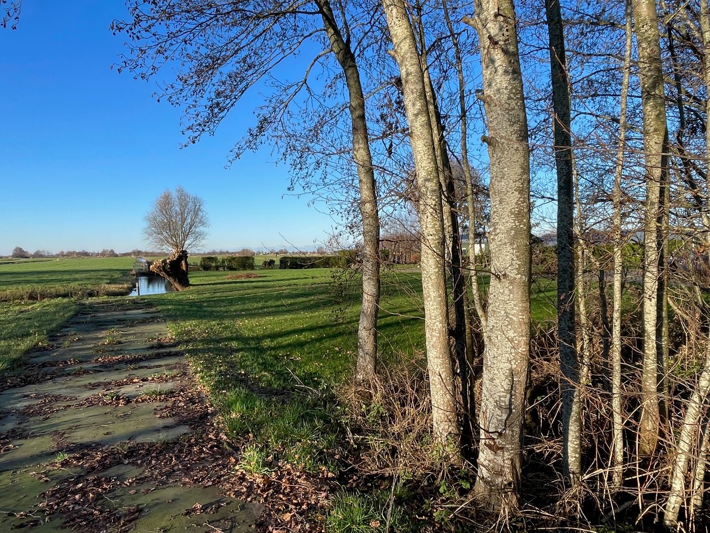 Foto 4 van de Hoef Westzijde 39-A