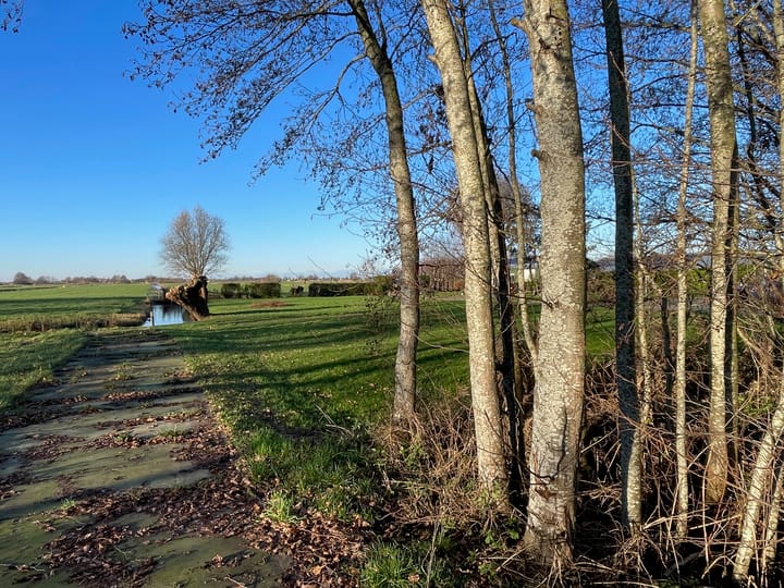 Foto 4 van de Hoef Westzijde 39-A