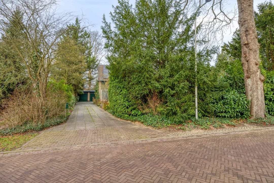 Photo 68 of De Wolzaklaan 2-A