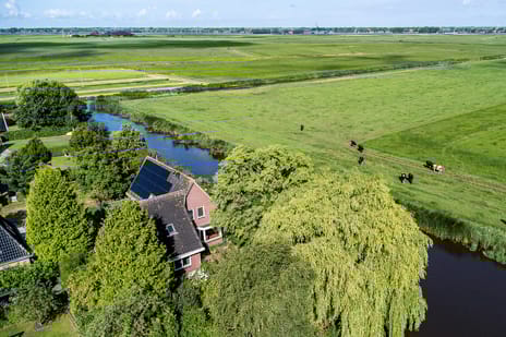 Adam en Atze strjitte 8 secondary image