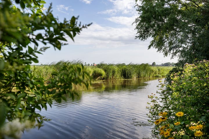 Foto 38 van Adam en Atze strjitte 8