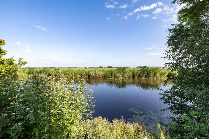 Foto 41 van Adam en Atze strjitte 8