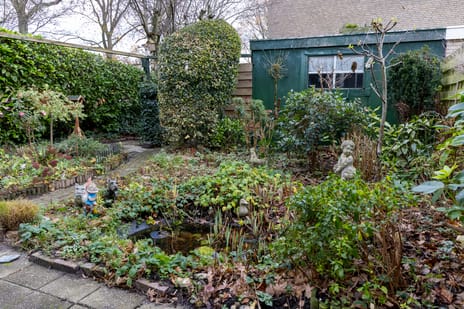 Boterbloemweg 36 tertiary image