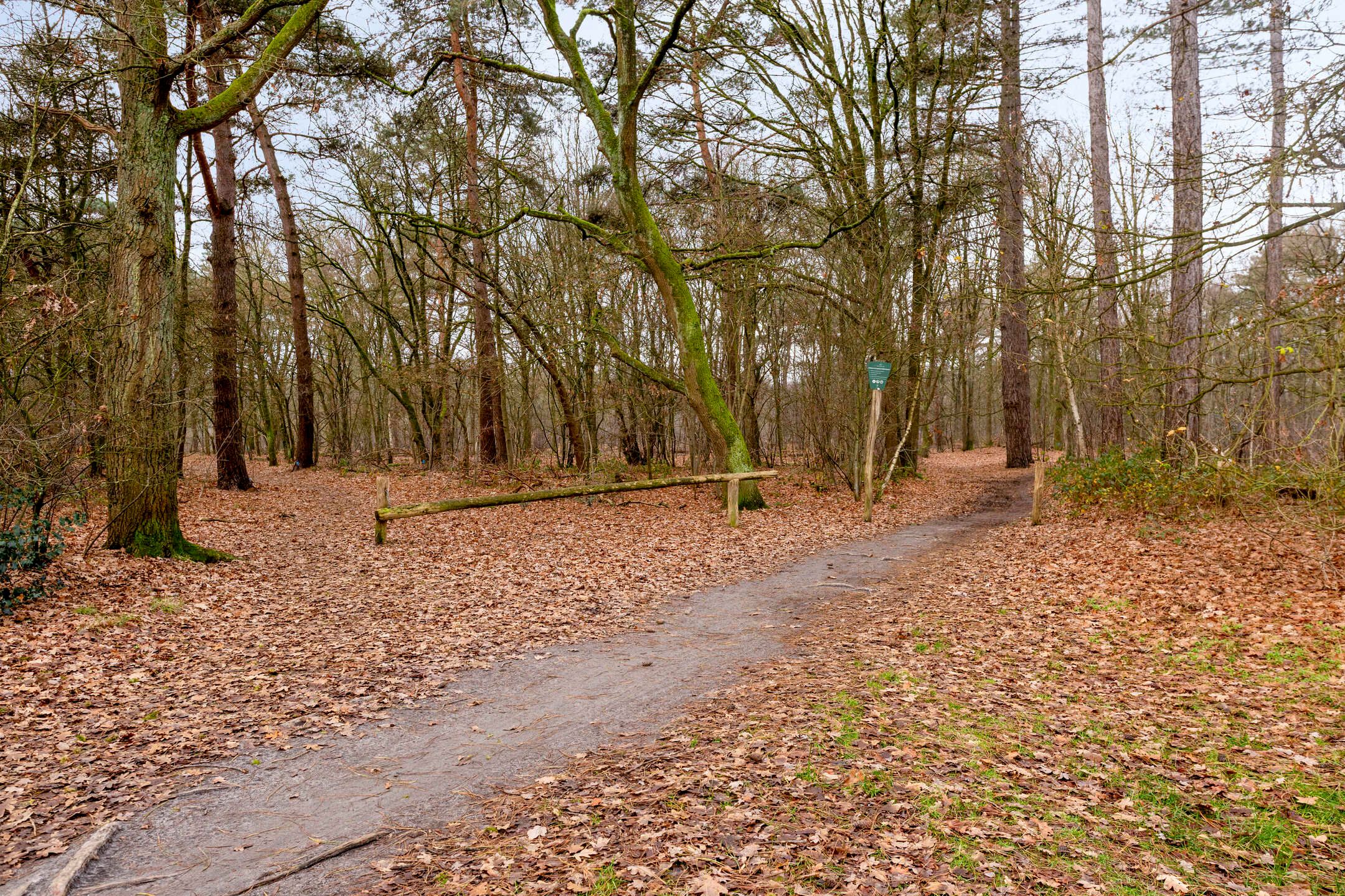 Foto 39 van Leeuwenbeklaan 36