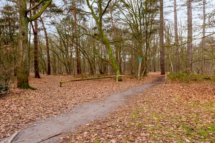 Foto 39 van Leeuwenbeklaan 36