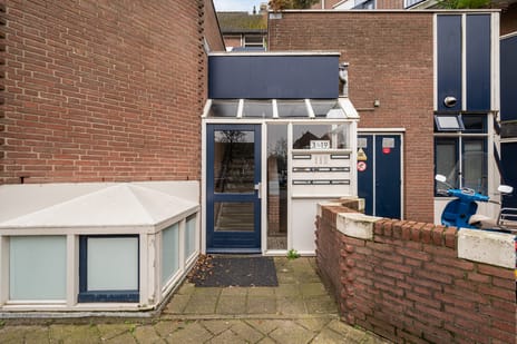 King Olivereiland 15 tertiary image