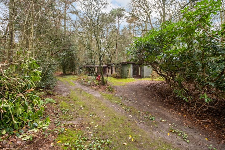 Photo 14 of Fazantenbosweg 15