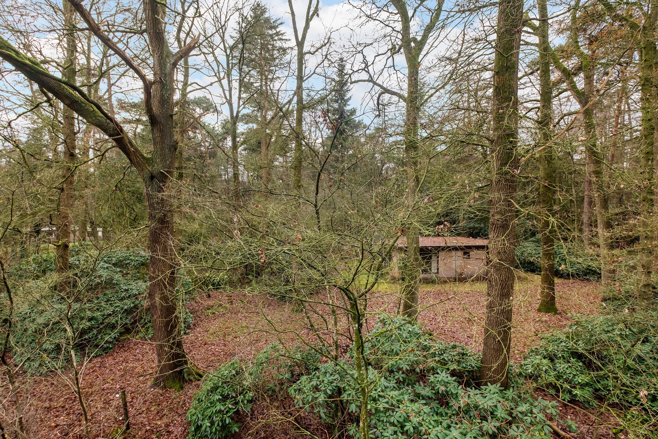 Photo 15 of Fazantenbosweg 15