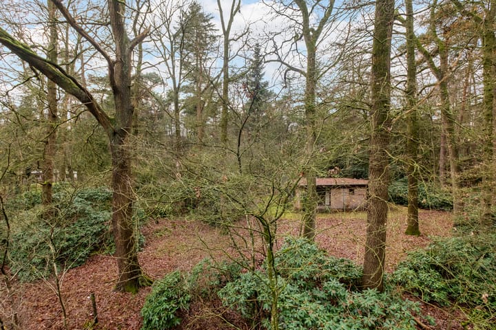Photo 15 of Fazantenbosweg 15