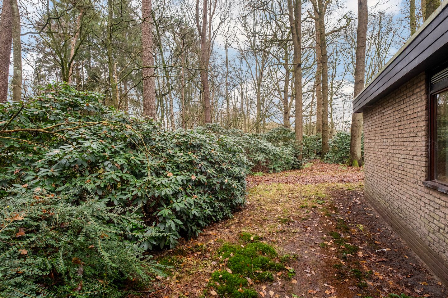 Photo 19 of Fazantenbosweg 15