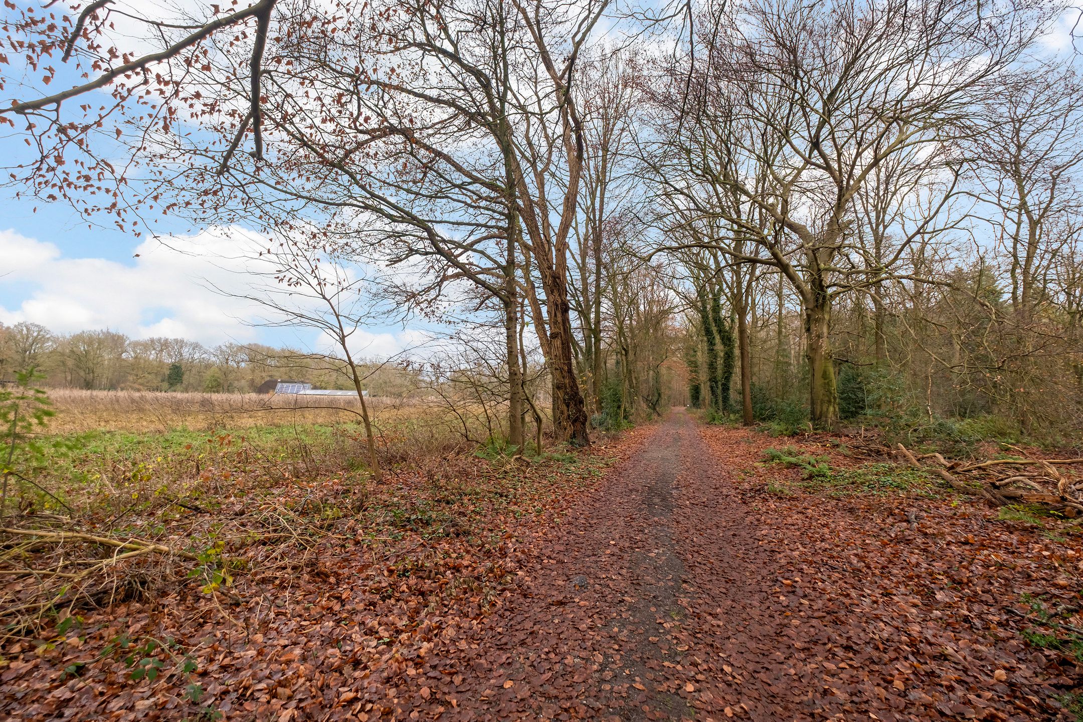 Photo 24 of Fazantenbosweg 15