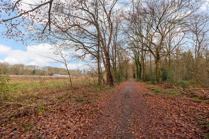 Photo 24 of Fazantenbosweg 15