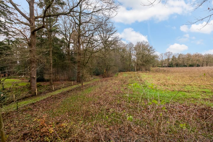 Photo 25 of Fazantenbosweg 15