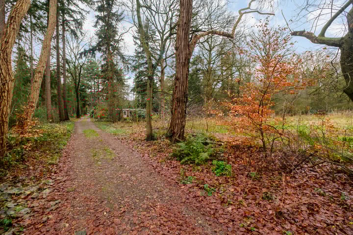 Photo 26 of Fazantenbosweg 15