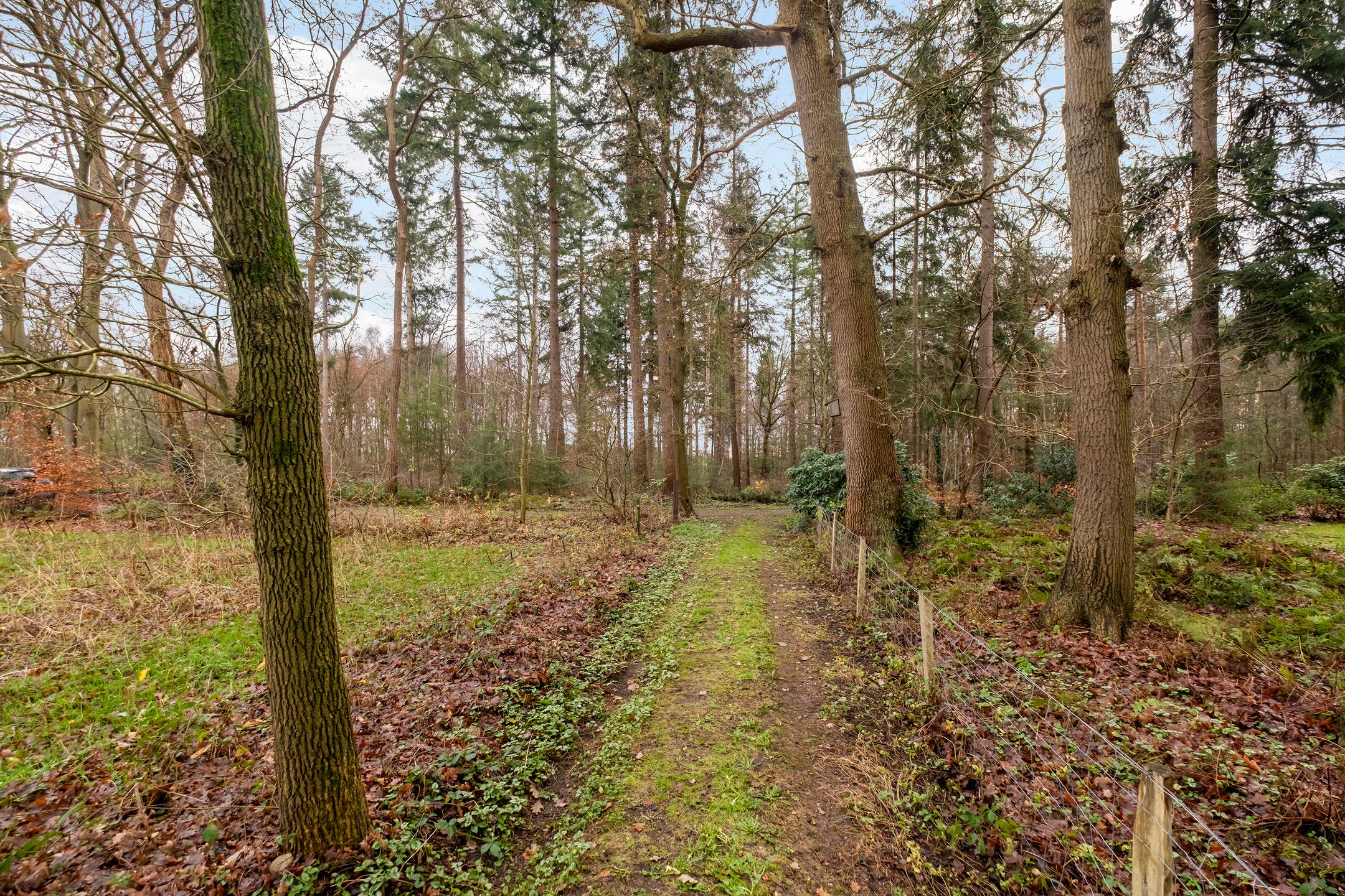 Photo 27 of Fazantenbosweg 15