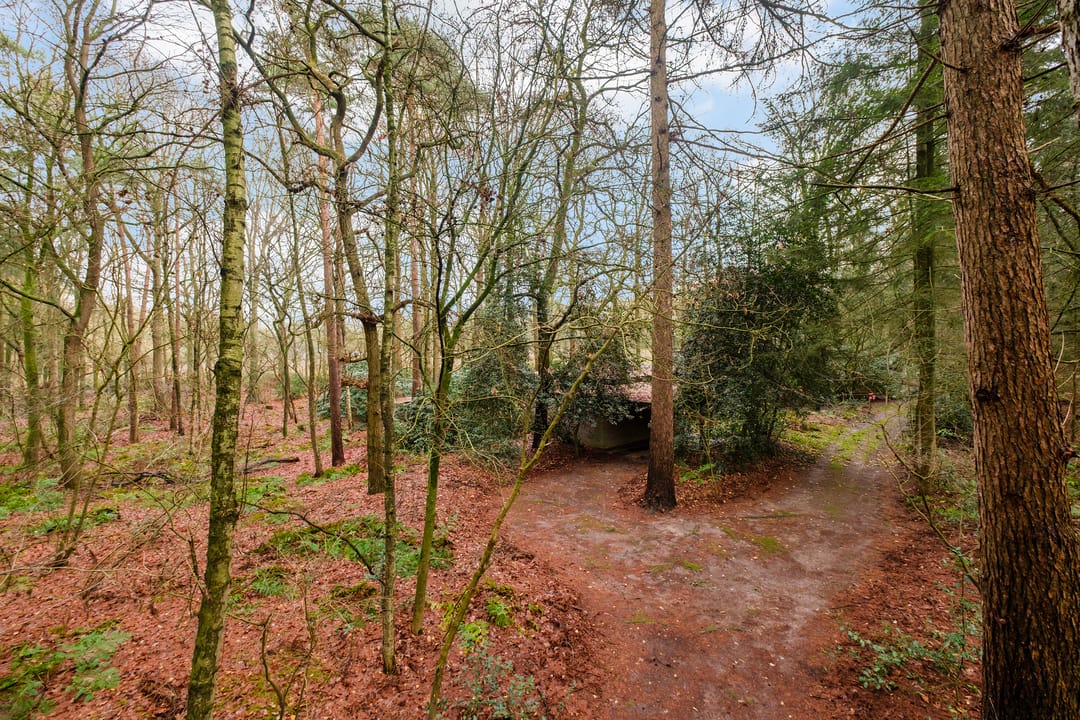 Photo 28 of Fazantenbosweg 15