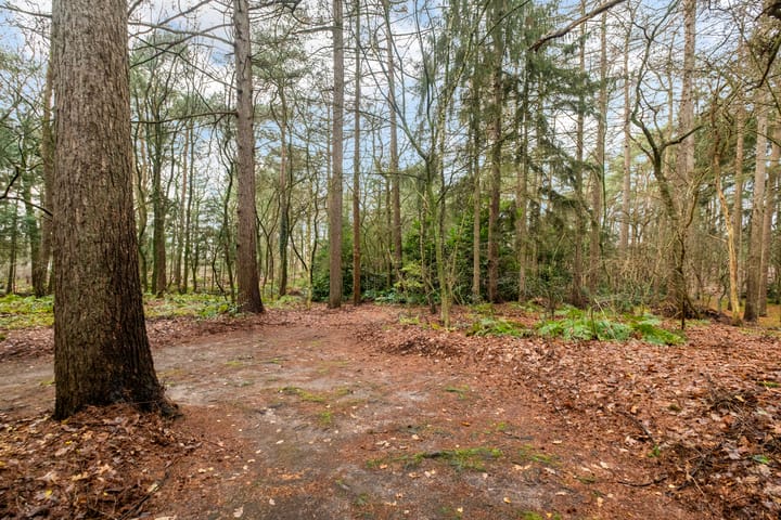 Photo 29 of Fazantenbosweg 15