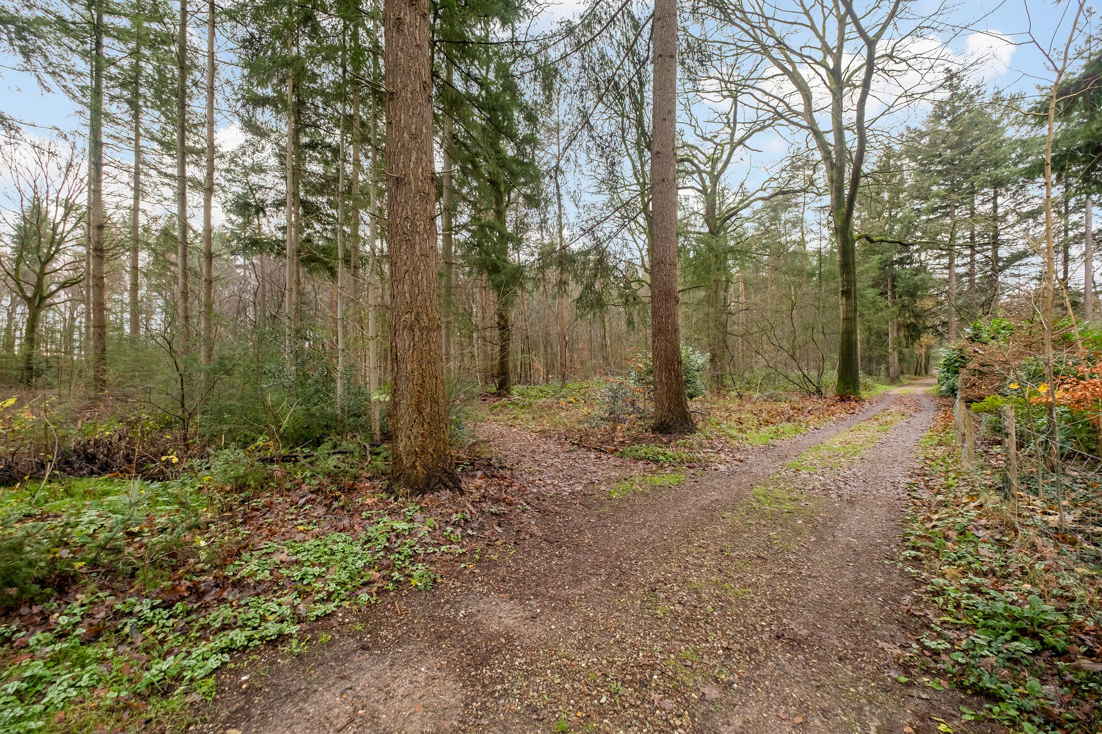 Photo 30 of Fazantenbosweg 15