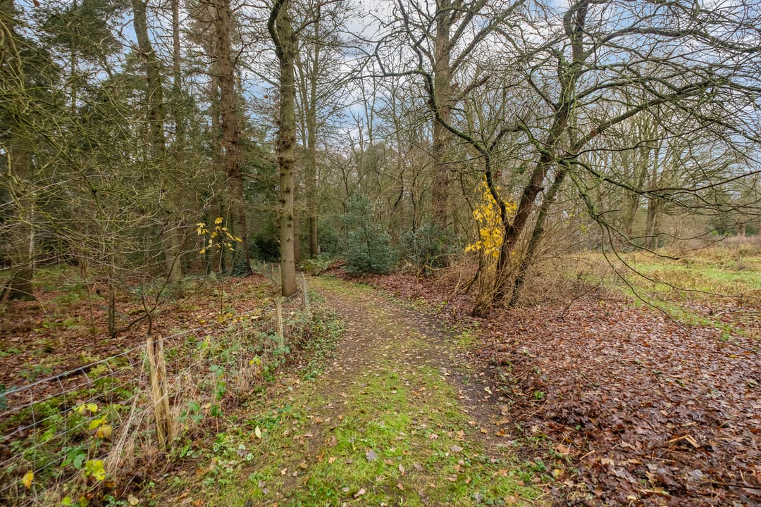 Photo 32 of Fazantenbosweg 15