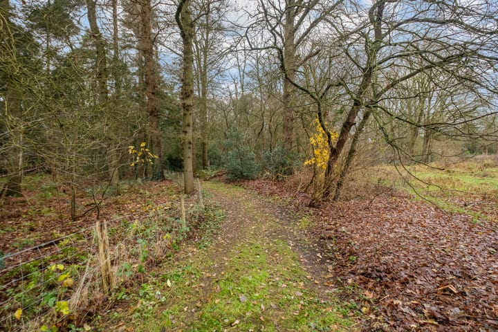 Photo 32 of Fazantenbosweg 15