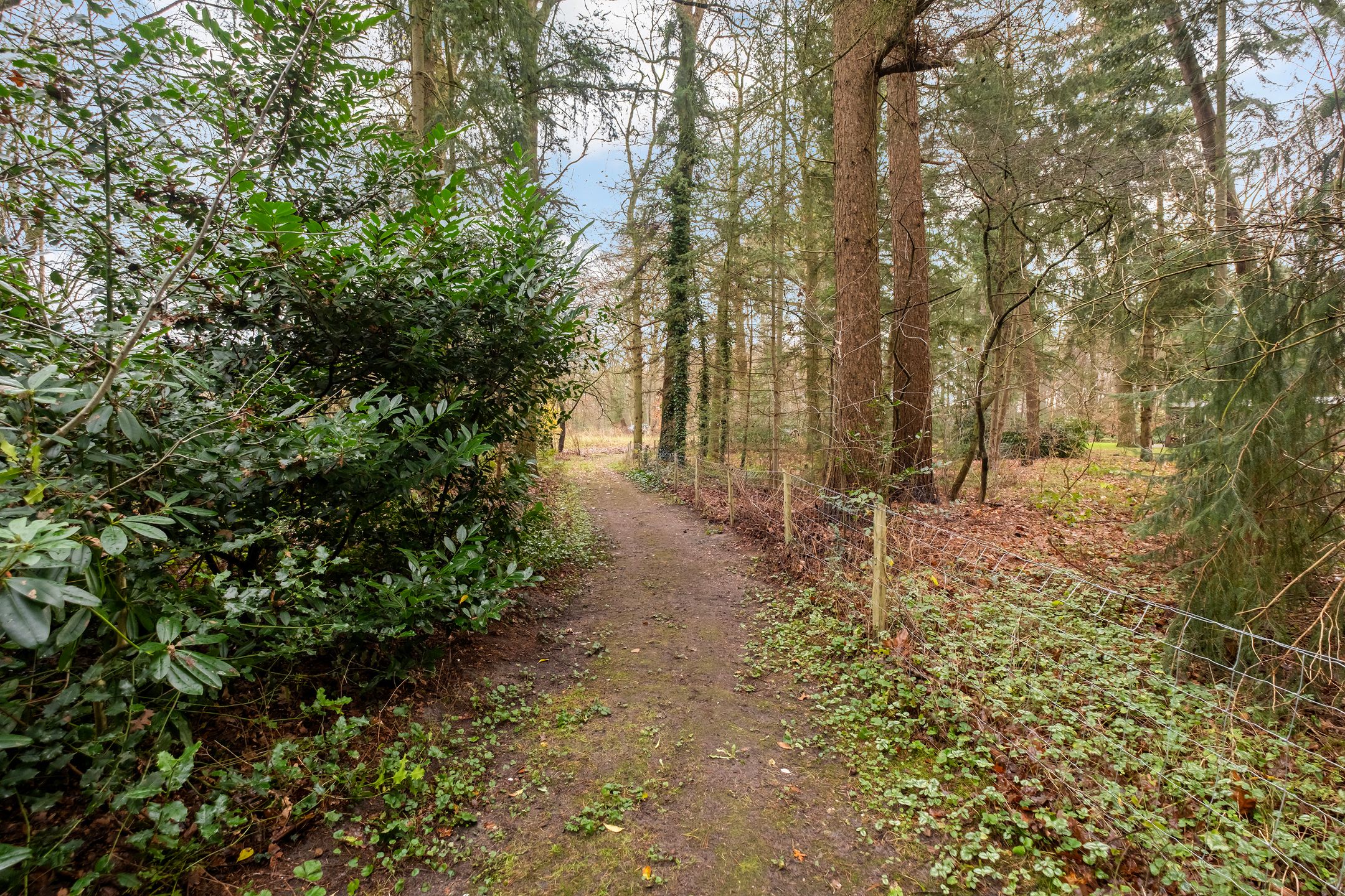 Photo 33 of Fazantenbosweg 15