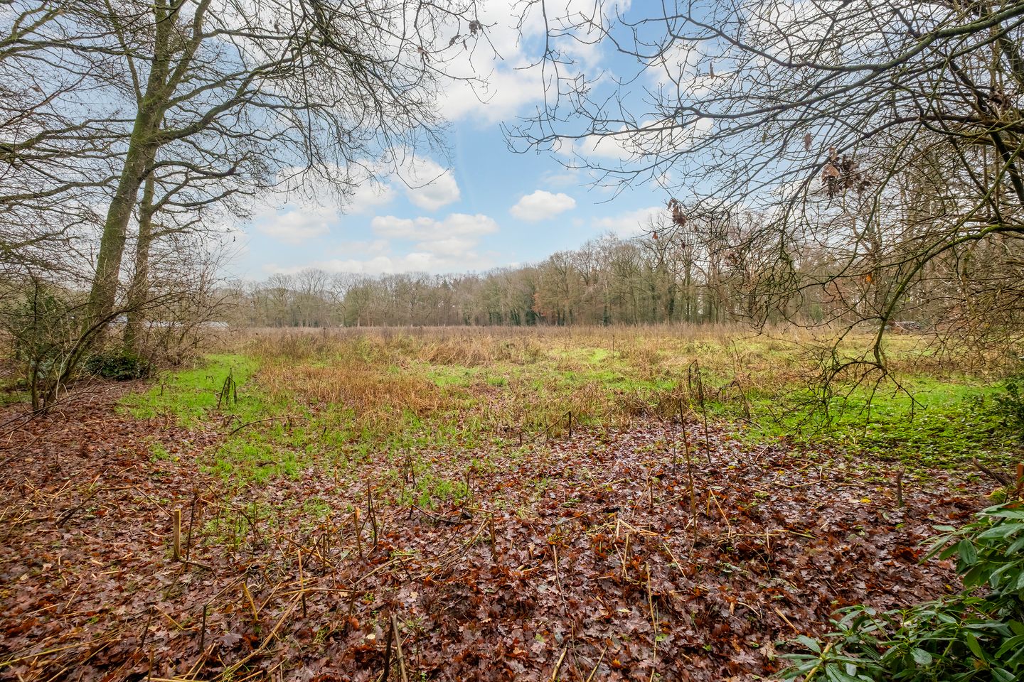 Photo 34 of Fazantenbosweg 15