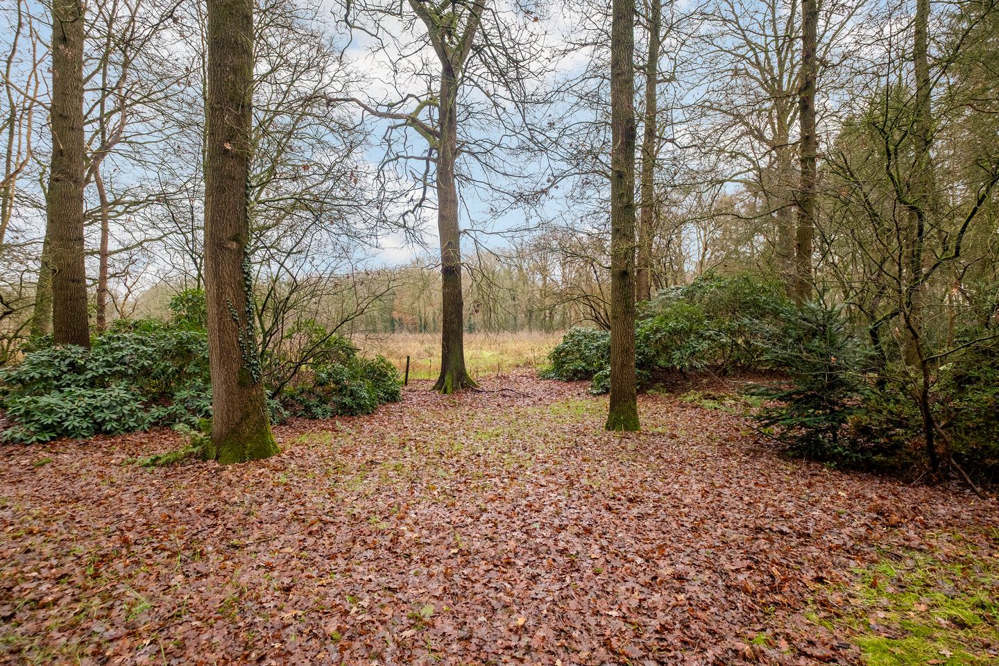 Photo 35 of Fazantenbosweg 15