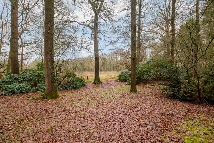 Photo 35 of Fazantenbosweg 15