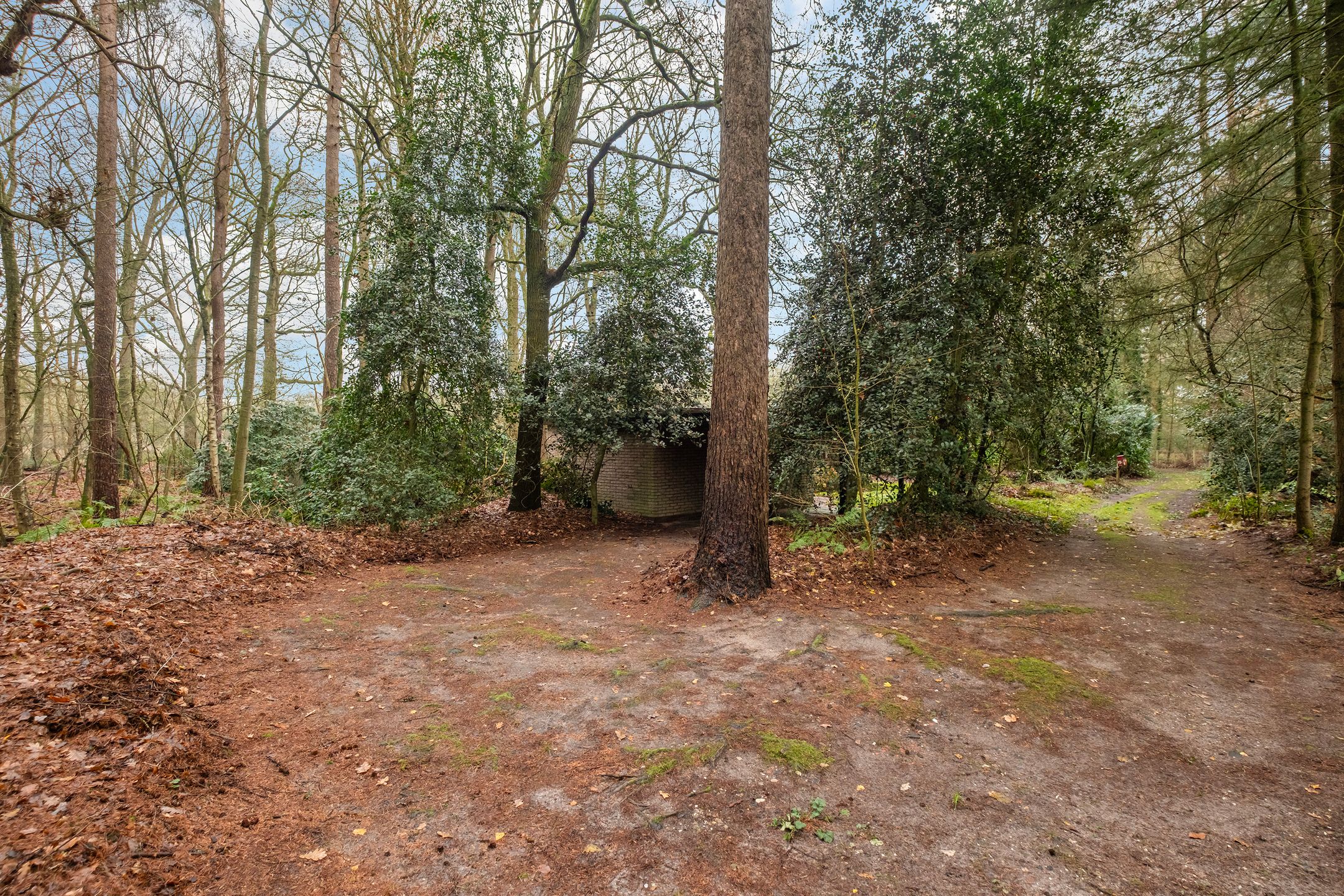 Photo 36 of Fazantenbosweg 15