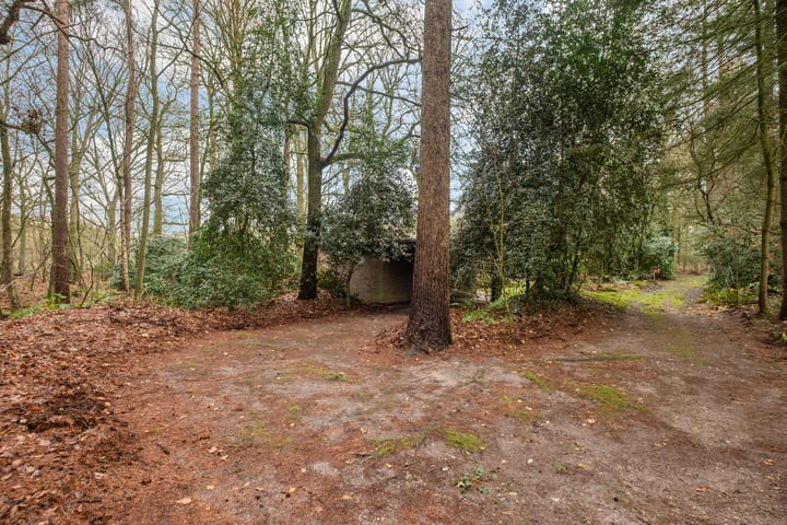 Photo 36 of Fazantenbosweg 15