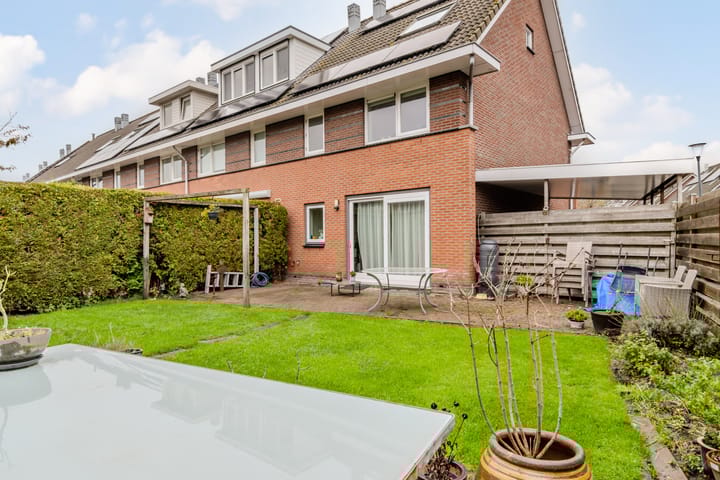 Foto 23 van de Vaart 20