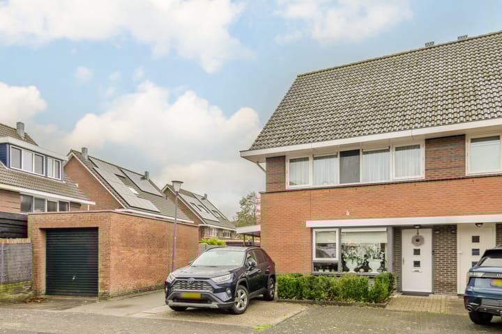 Foto 29 van de Vaart 20