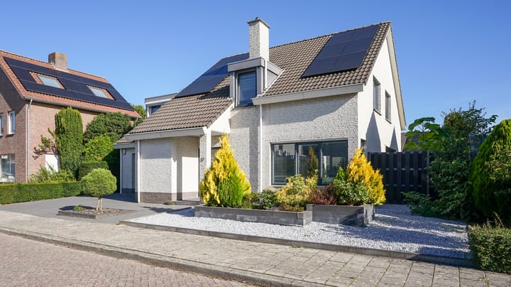 Foto 2 van Halewijnstraat 13