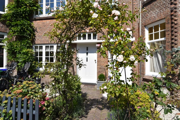 Foto 1 van Spreeuwenlaan 21