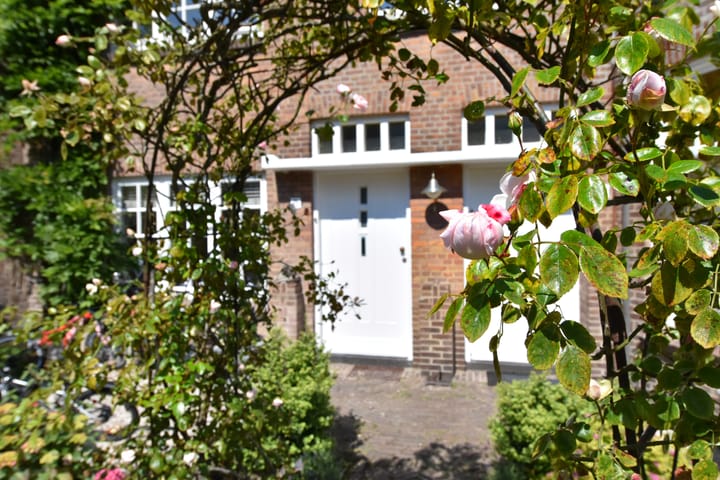 Foto 31 van Spreeuwenlaan 21