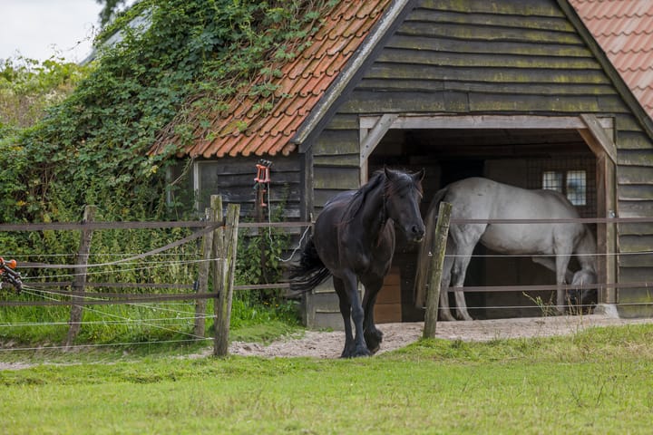 Foto 8 van Boekelterweg 16