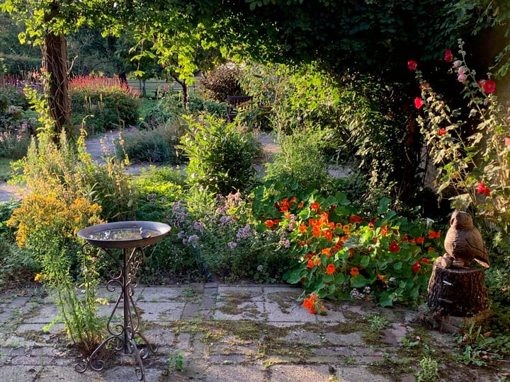 Foto 10 van Boekelterweg 16