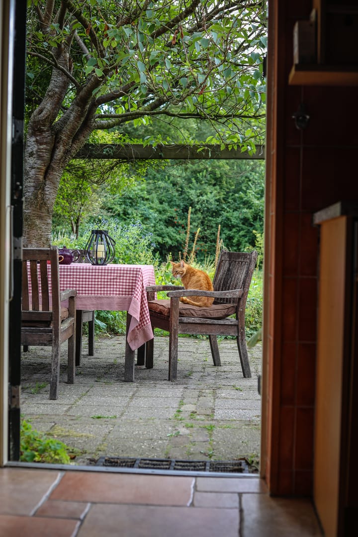 Foto 55 van Boekelterweg 16