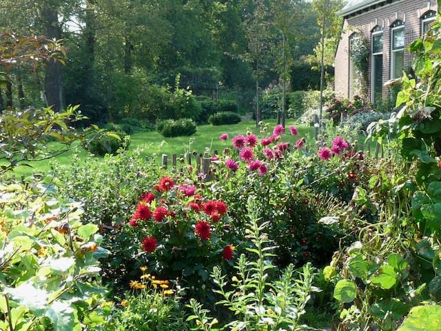 Foto 56 van Boekelterweg 16